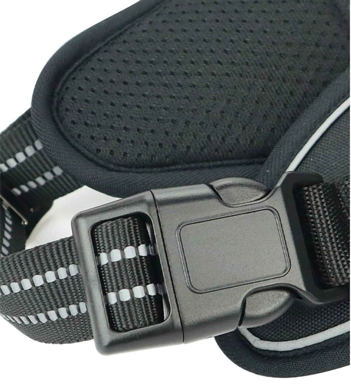 PawSecure Harness