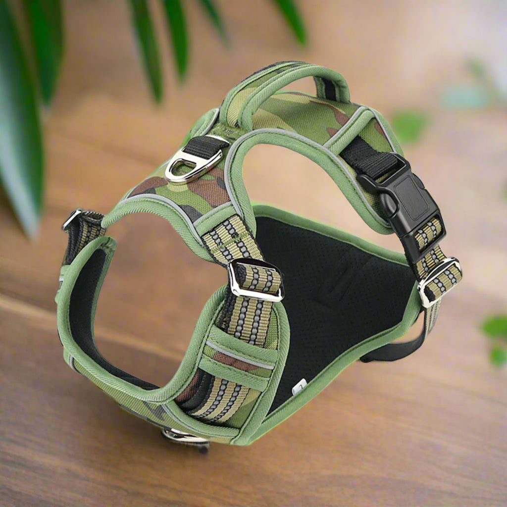 PawSecure Harness