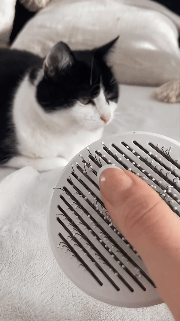 140° Curved Stainless Steel Pin