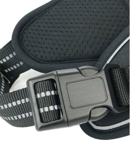 PawSecure Harness