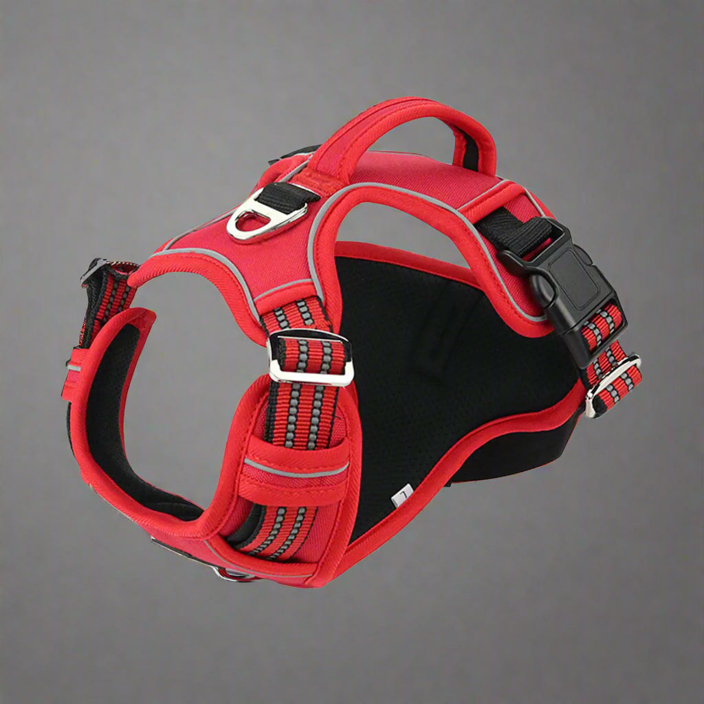PawSecure Harness