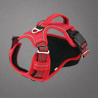 PawSecure Harness