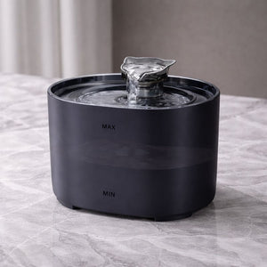 Black Plug Electricity