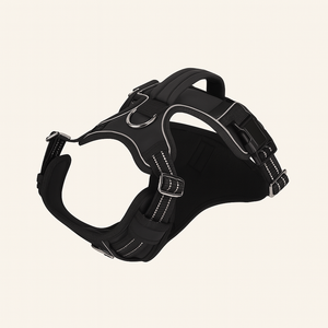 Black / L