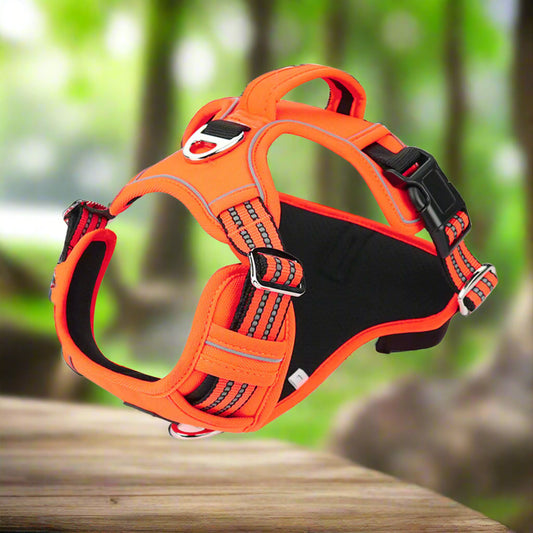 PawSecure Harness