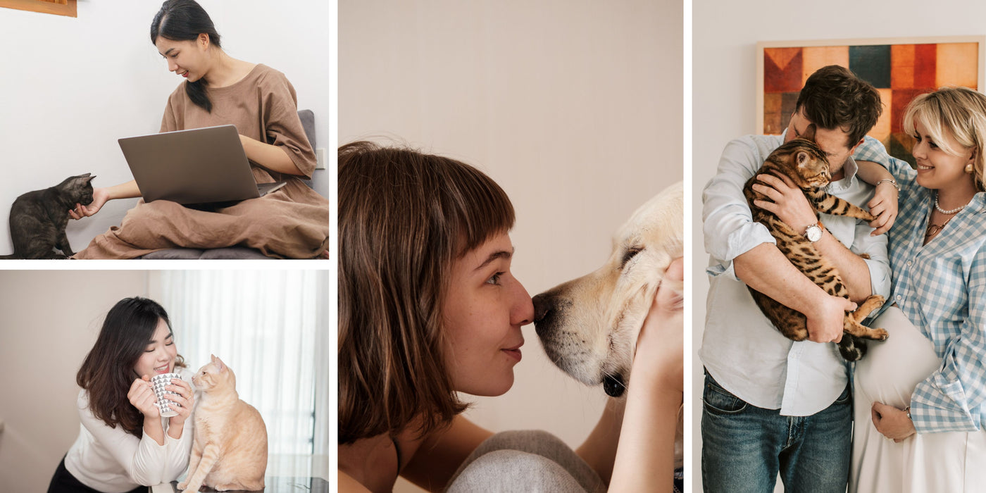 For Pet Lovers