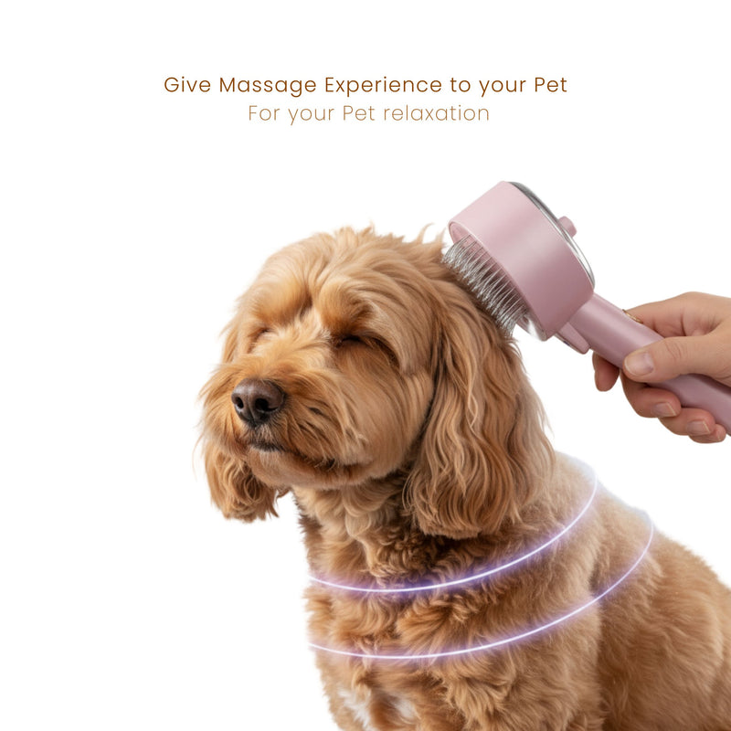 3 in 1 Pet Grooming Brush