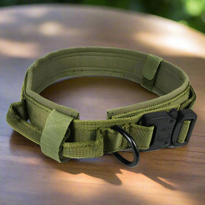 Dog Collar