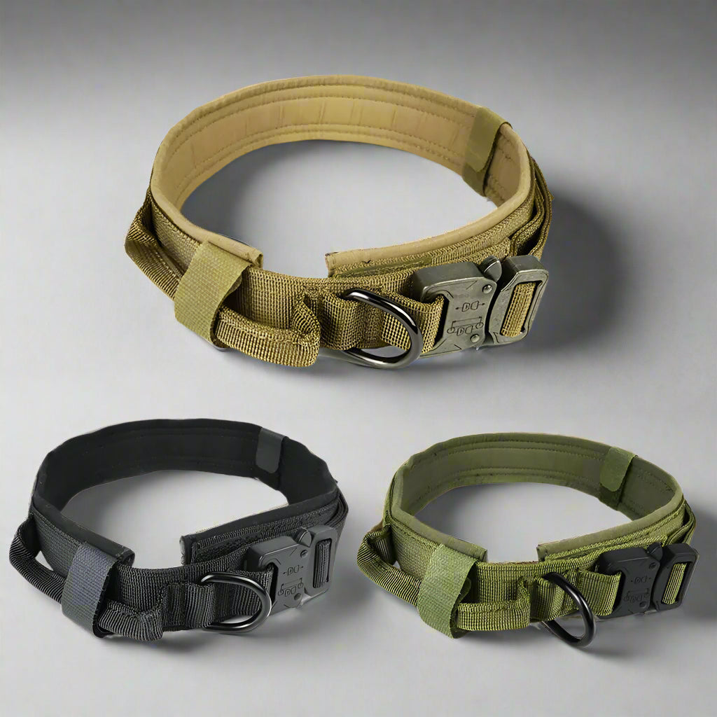 Dog Collar
