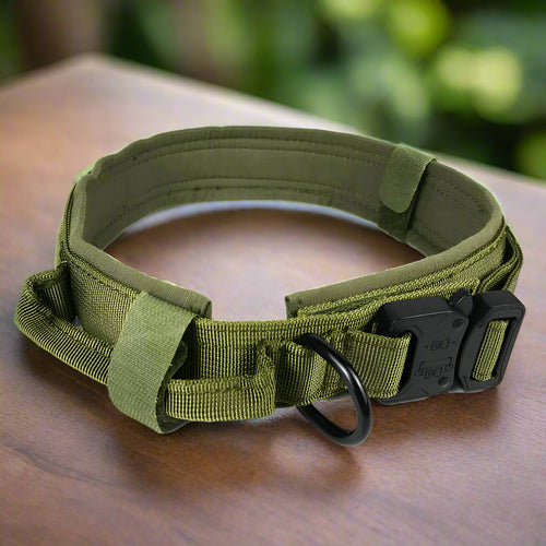 Dog Collar