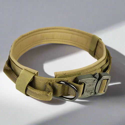 Dog Collar