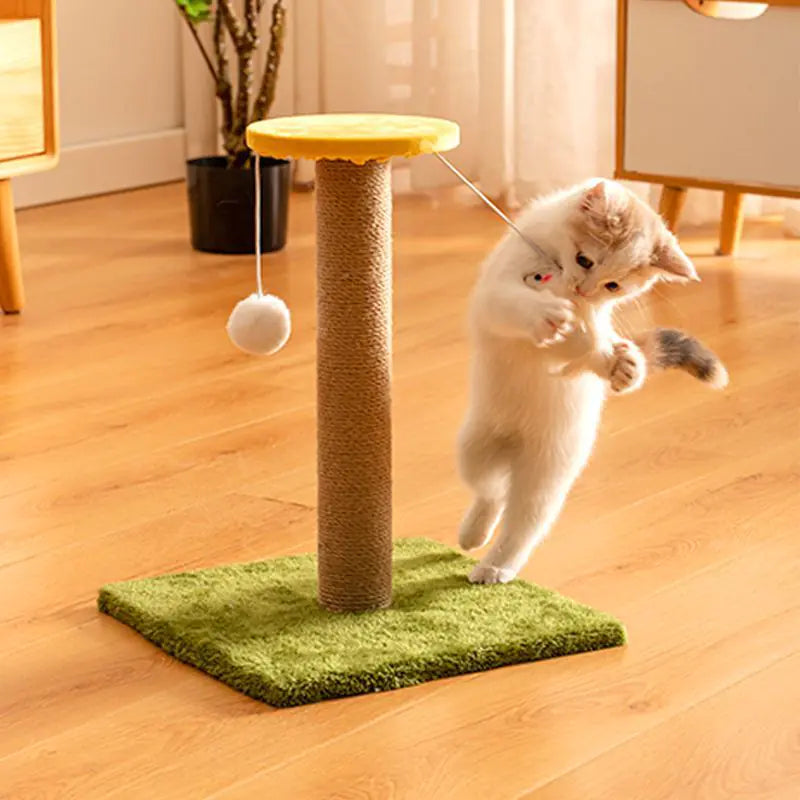 Cat Tower
