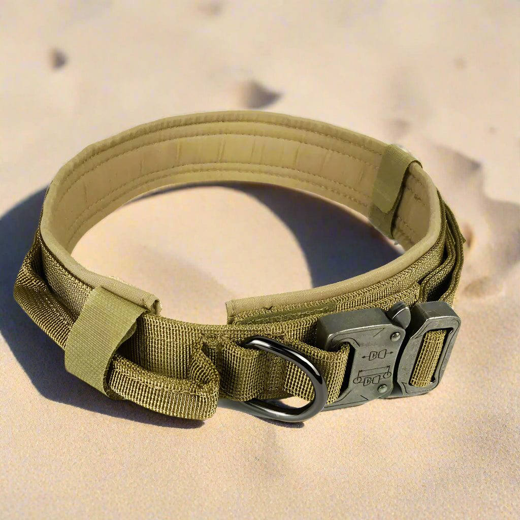 Dog Collar