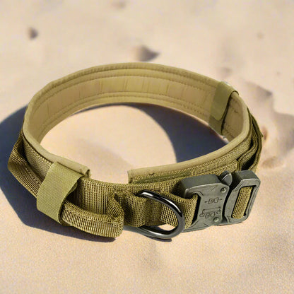 Dog Collar